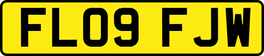 FL09FJW