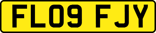 FL09FJY