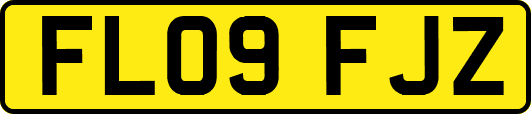 FL09FJZ
