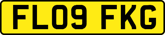 FL09FKG
