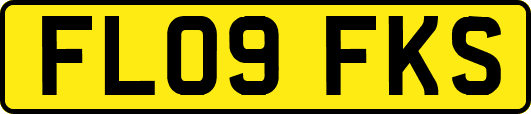 FL09FKS