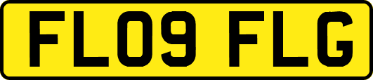 FL09FLG