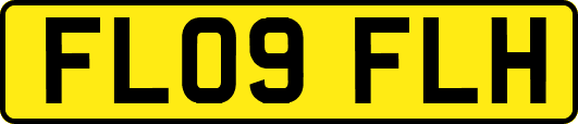 FL09FLH