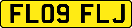 FL09FLJ