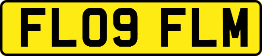 FL09FLM