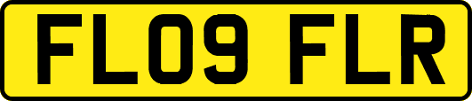 FL09FLR