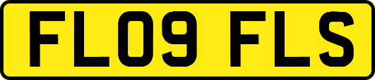 FL09FLS