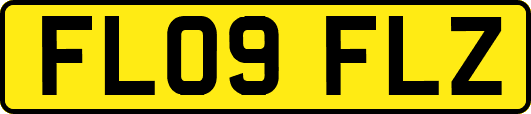 FL09FLZ