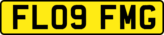 FL09FMG
