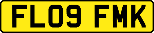 FL09FMK