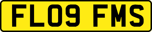 FL09FMS