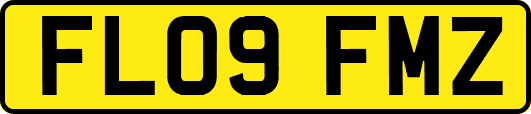 FL09FMZ