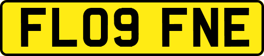 FL09FNE