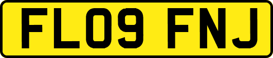 FL09FNJ