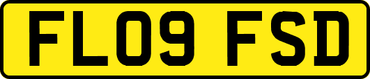 FL09FSD