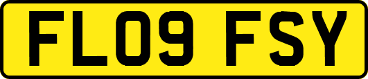 FL09FSY