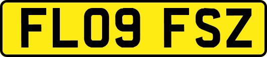 FL09FSZ