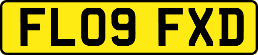 FL09FXD