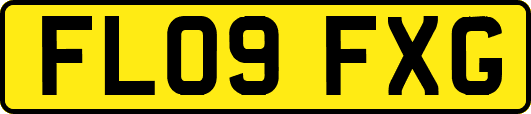 FL09FXG