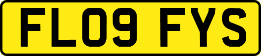 FL09FYS