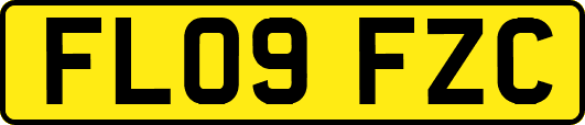 FL09FZC