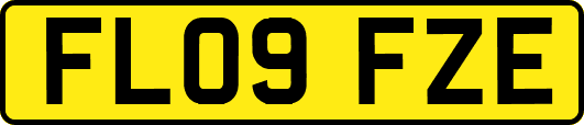 FL09FZE