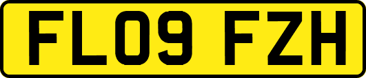 FL09FZH