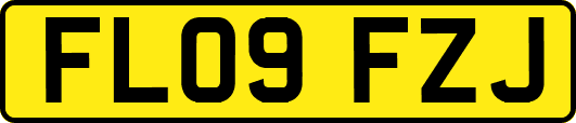 FL09FZJ