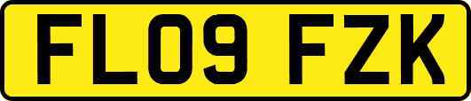 FL09FZK