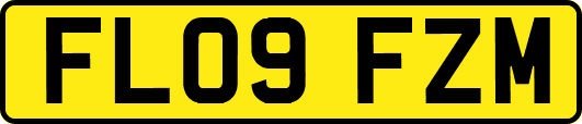 FL09FZM