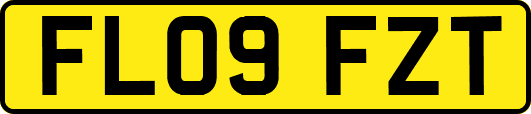 FL09FZT