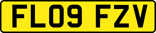 FL09FZV