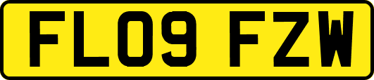 FL09FZW