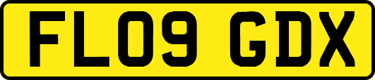 FL09GDX