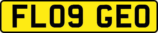 FL09GEO