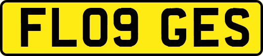 FL09GES