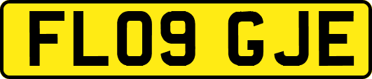 FL09GJE