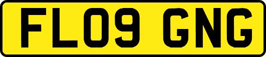 FL09GNG