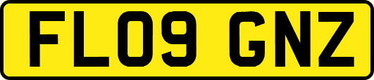 FL09GNZ