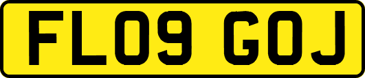 FL09GOJ