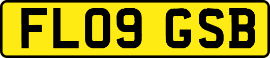 FL09GSB