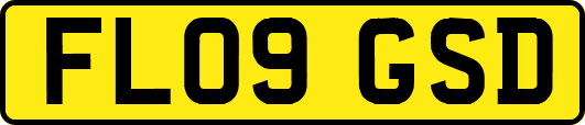 FL09GSD