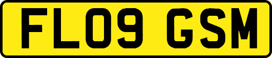 FL09GSM