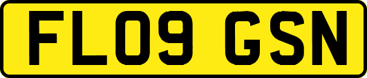 FL09GSN