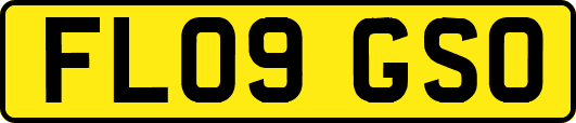FL09GSO