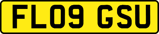 FL09GSU