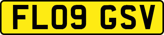FL09GSV