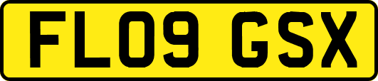 FL09GSX