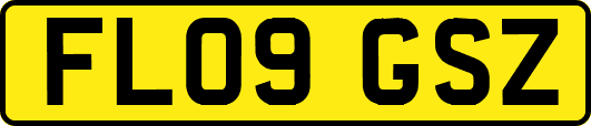 FL09GSZ