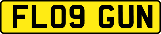 FL09GUN